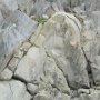 Anticline, Ristimaa quarry, Finland (Fot. from Pietari Skyttä and Tobias Kampmann album)